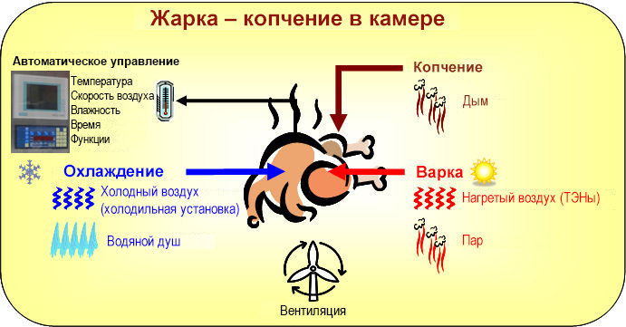 Etuvage Fumage en cellule